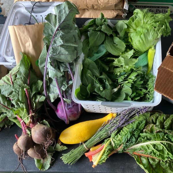 Sophia’s Pantry CSA Membership (Large Share - 2025 Season 1)